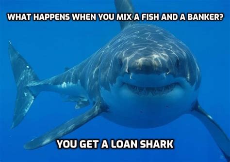 150+ Clever & Funny Fish Puns (The Ultimate List) .